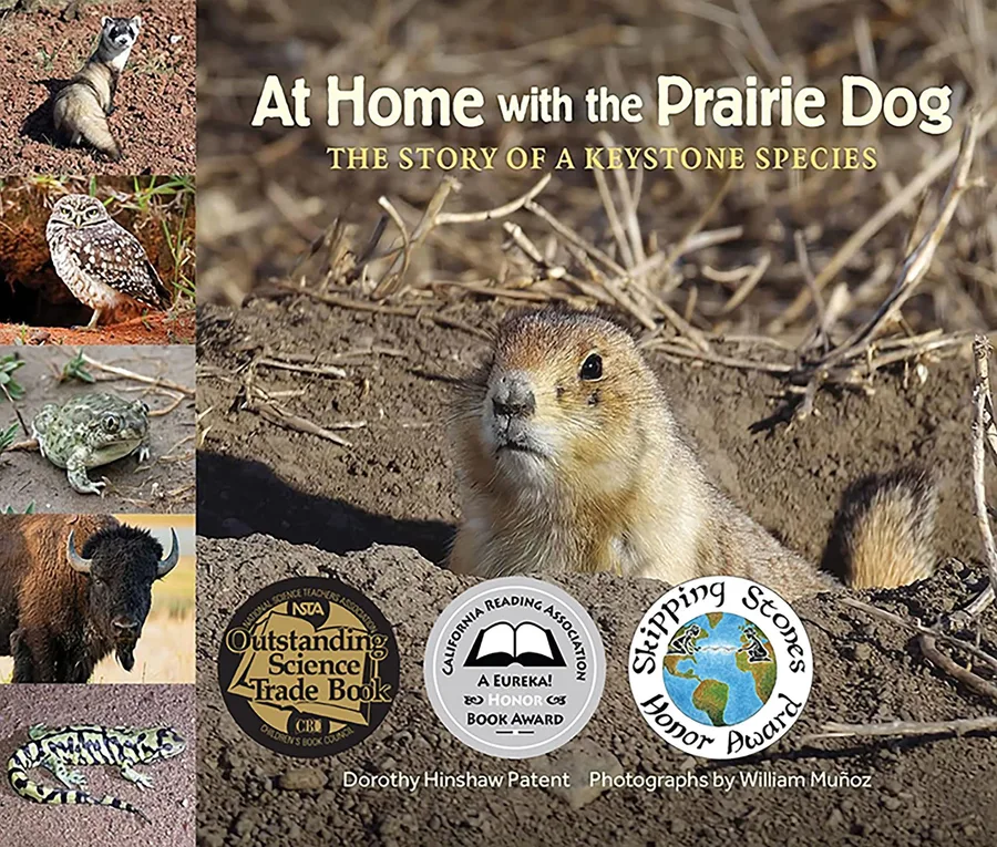 Cover of At Home with the Prairie Dog: The Story of a Keystone Species