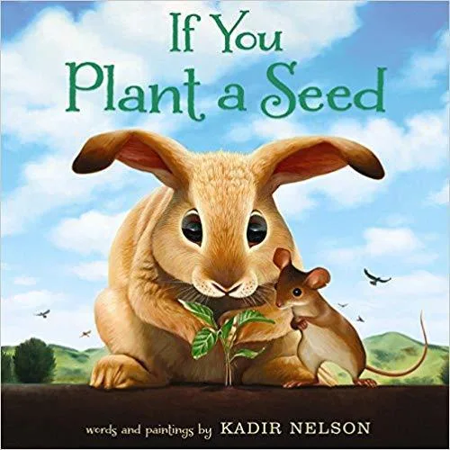 Cover of If You Plant a Seed