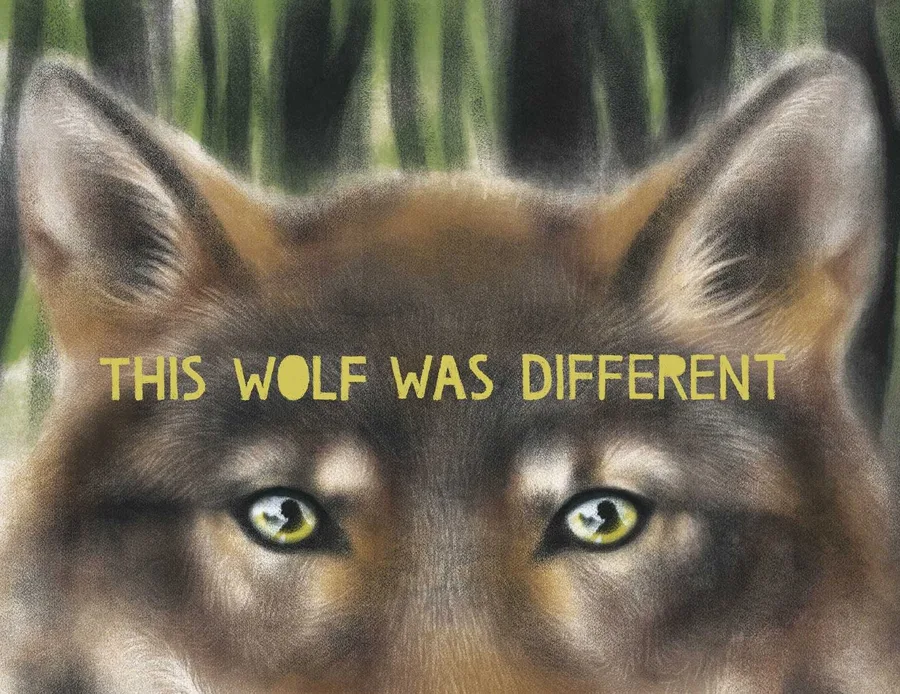 Cover of This Wolf Was Different