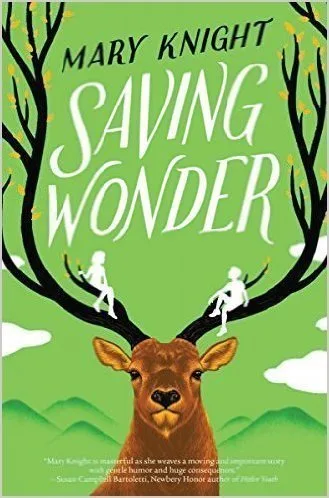 Cover of Saving Wonder