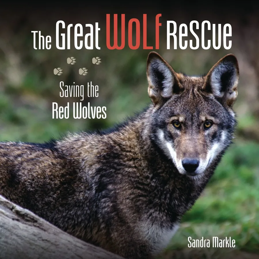Cover of The Great Wolf Rescue: Saving the Red Wolves (Sandra Markle’s Science Discoveries series)