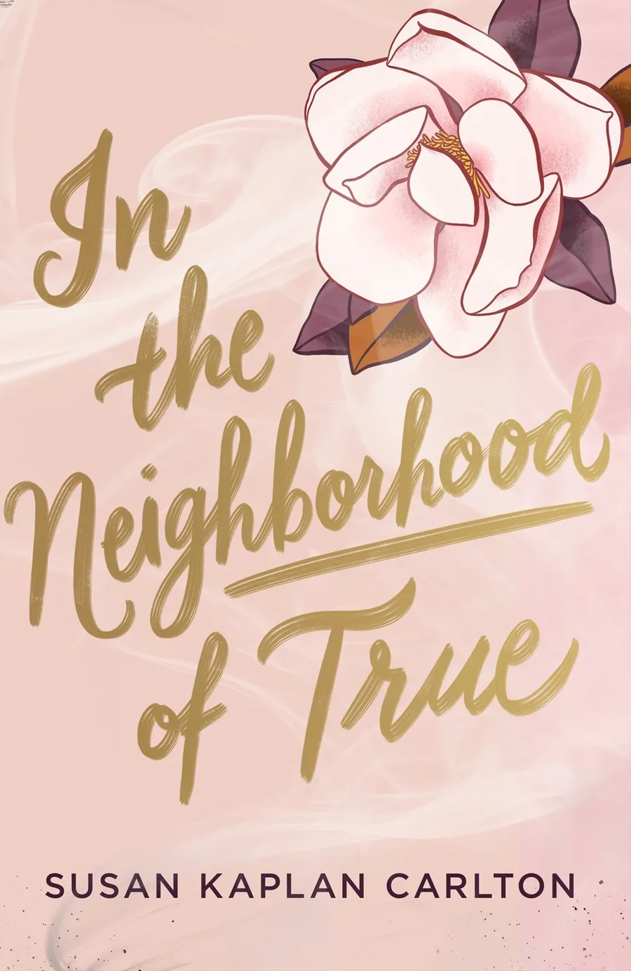 Cover of In the Neighborhood of True