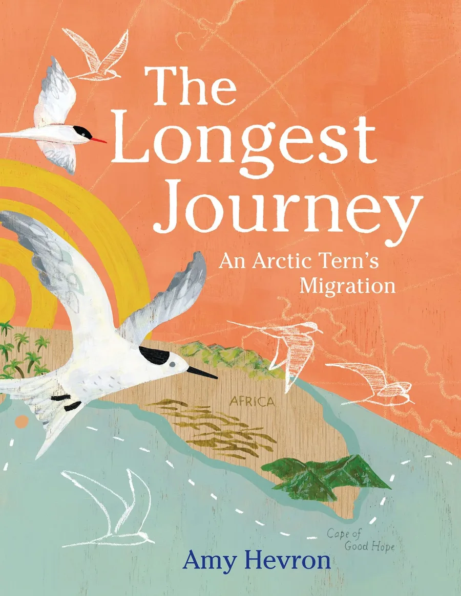 Cover of The Longest Journey: An Arctic Tern’s Migration