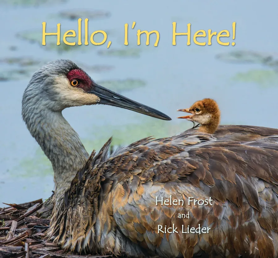 Cover of Hello, I’m Here!