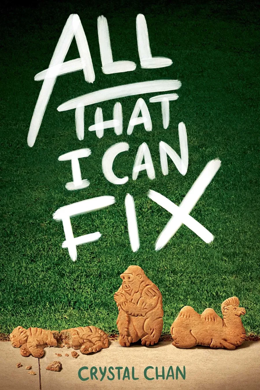 Cover of All That I Can Fix