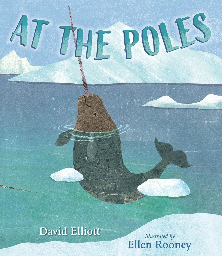 Cover of At the Poles