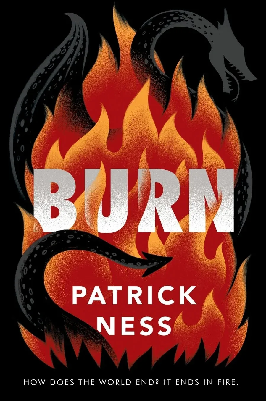 Cover of Burn