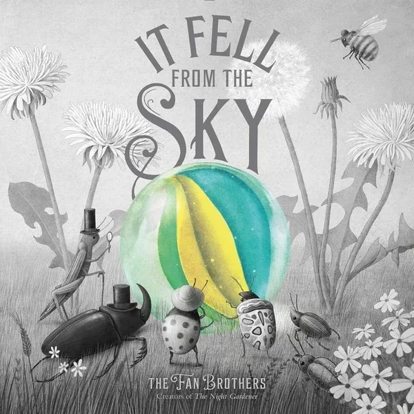 Cover of IT FELL FROM THE SKY