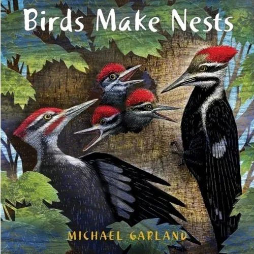 Cover of Birds Make Nests