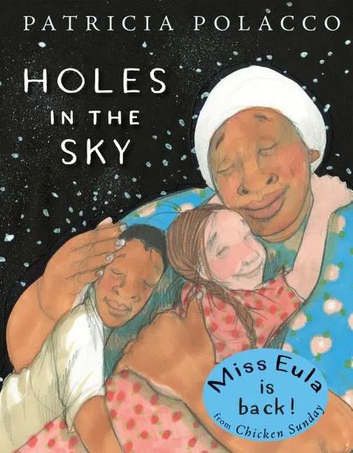 Cover of Holes in the Sky