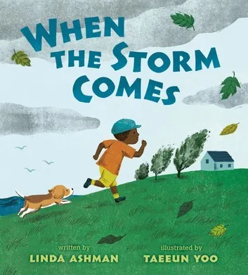 Cover of When the Storm Comes