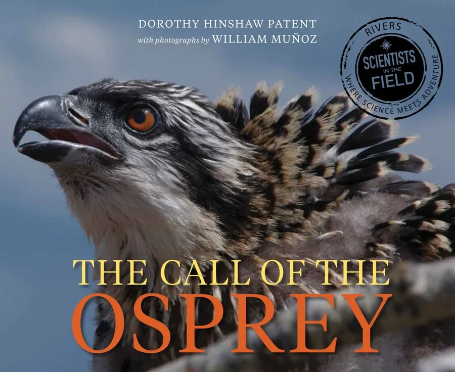 Cover of The Call of the Osprey