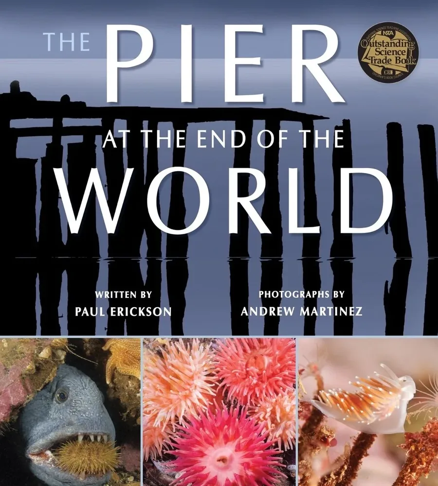 Cover of The Pier at the End of the World