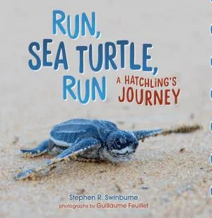 Cover of Run, Sea Turtle, Run: A Hatchling’s Story