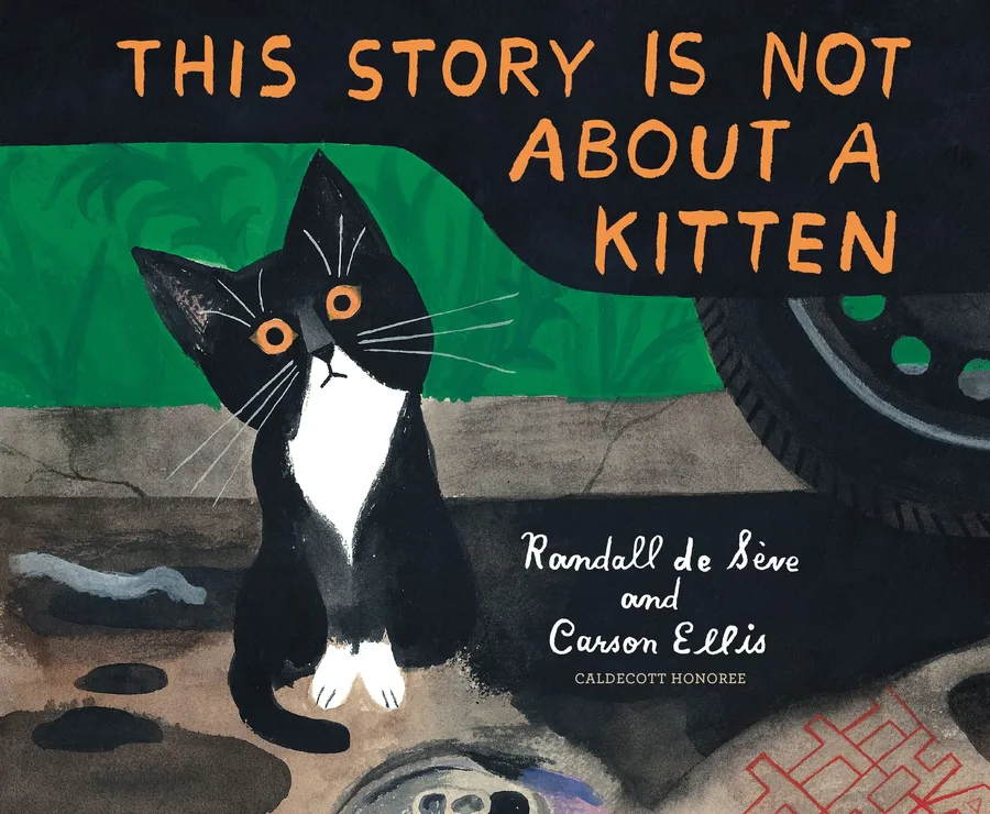 Cover of This Story Is Not about a Kitten