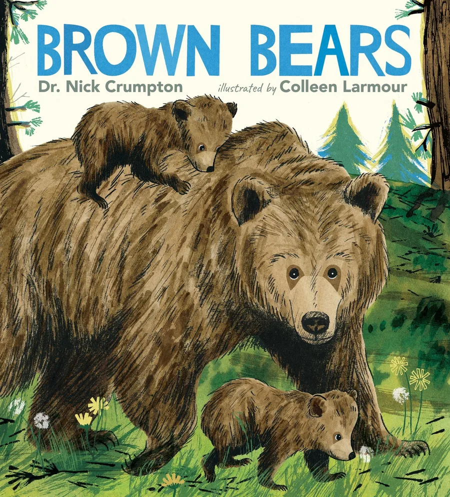 Cover of Brown Bears