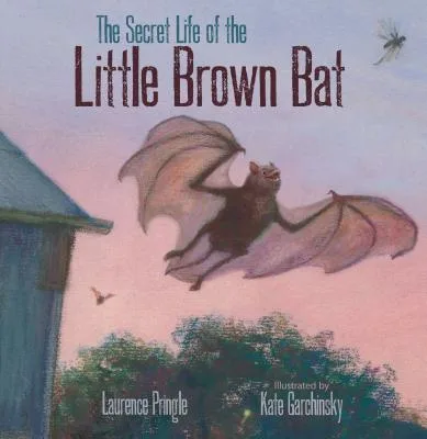 Cover of The Secret Life of the Little Brown Bat