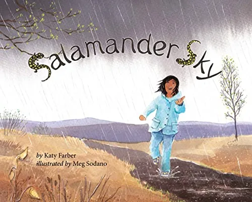 Cover of Salamander Sky