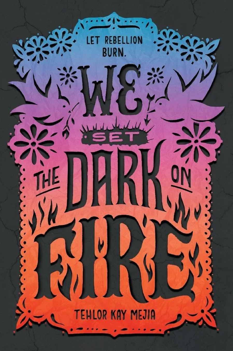 Cover of We Set the Dark on Fire