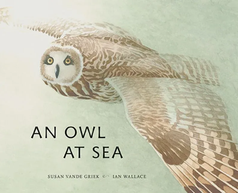 Cover of An Owl at Sea