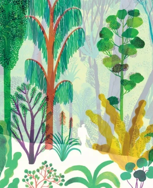 Cover of The Forest