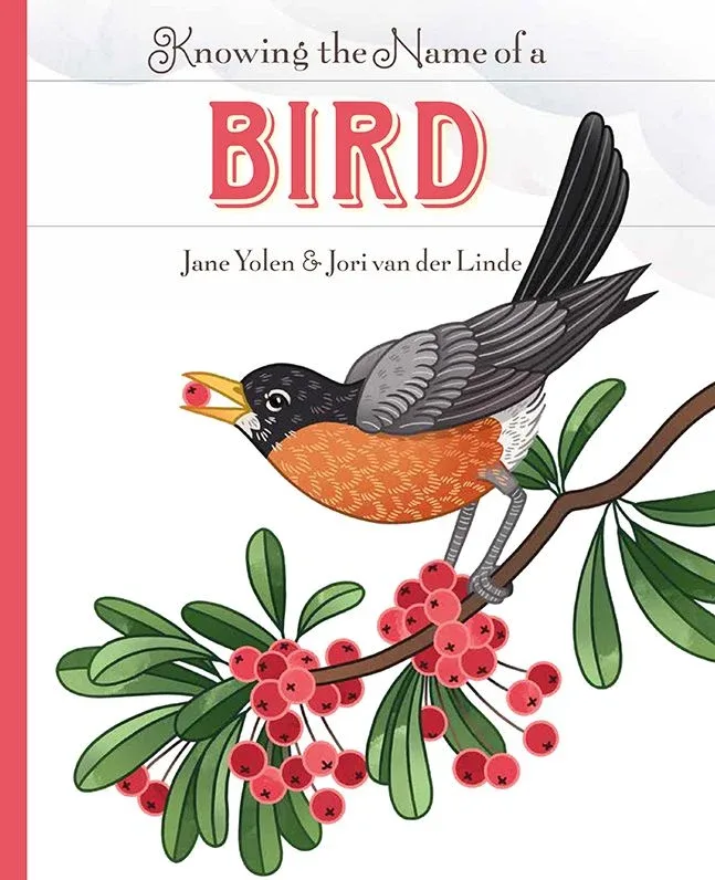 Cover of Knowing the Name of a Bird