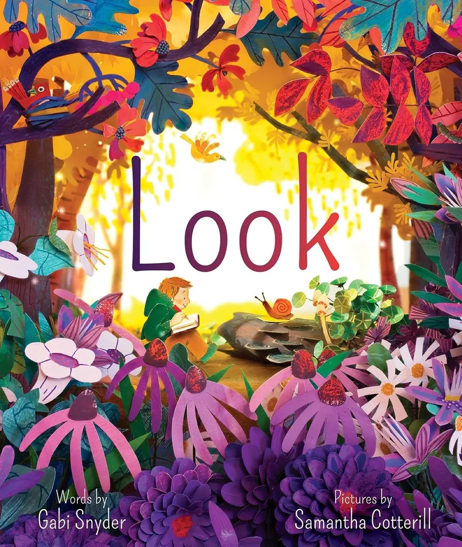 Cover of Look