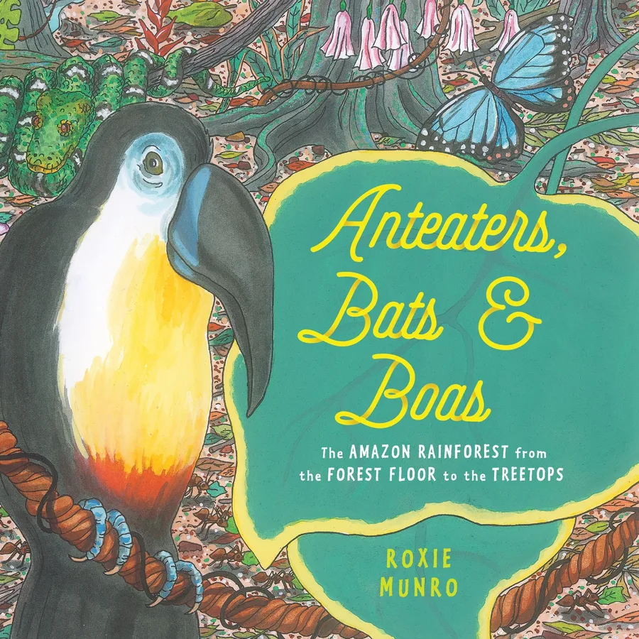Cover of Anteaters, Bats & Boas: The Amazon Rainforest from the Forest Floor to the Treetops