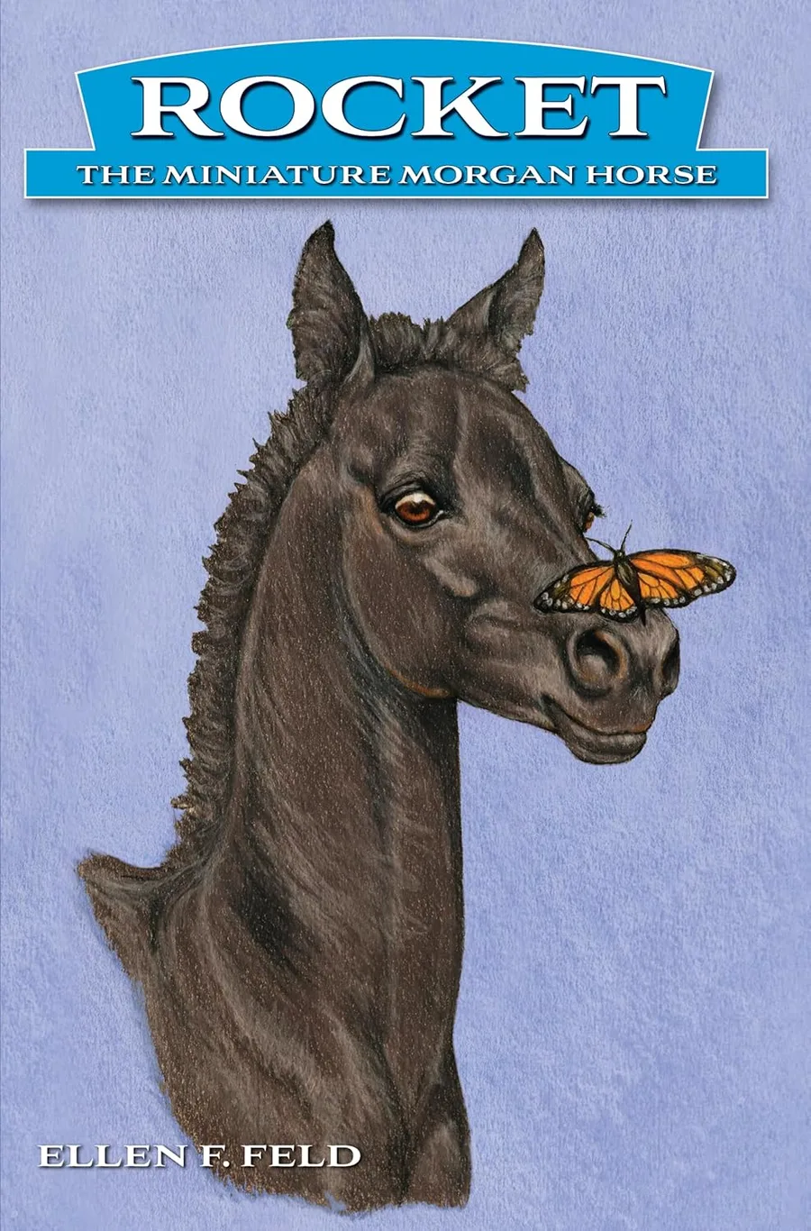 Cover of Rocket: The Miniature Morgan Horse