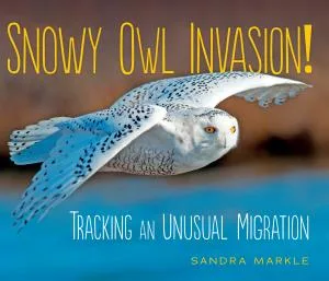 Cover of Snowy Owl Invasion!: Tracking an Unusual Migration (Sandra Markle’s Science Discoveries series)