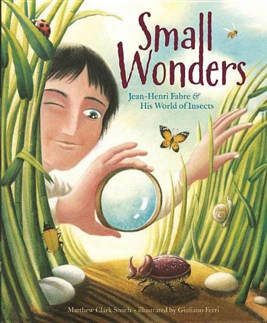 Cover of Small Wonders