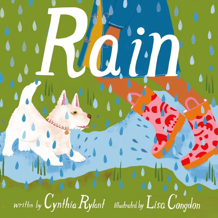 Cover of Rain
