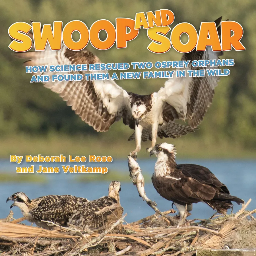 Cover of Swoop and Soar: How Science Rescued Two Osprey Orphans and Found Them a New Family in the Wild