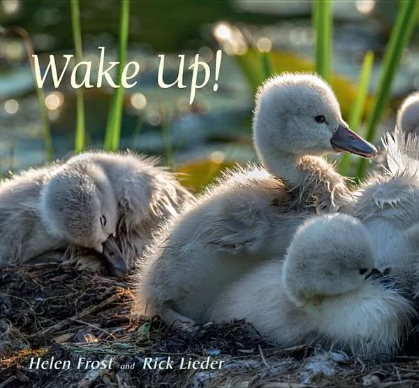 Cover of Wake Up!
