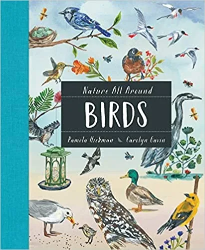Cover of Birds (Nature All Around series)