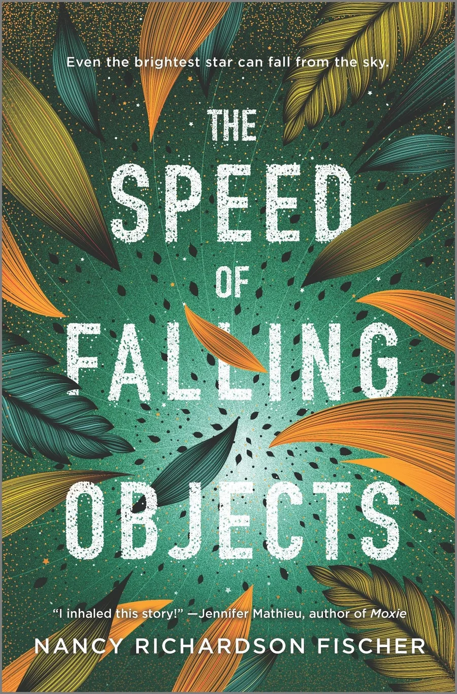 Cover of The Speed of Falling Objects