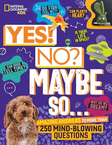 Cover of YES! NO? MAYBE SO…: AMAZING ANSWERS TO MORE THAN 250 MIND- BLOWING QUESTIONS