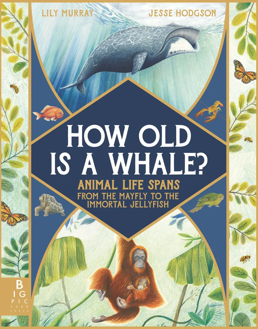 Cover of How Old is a Whale? Animal Life Spans From the Mayfly to the Immortal Jellyfish