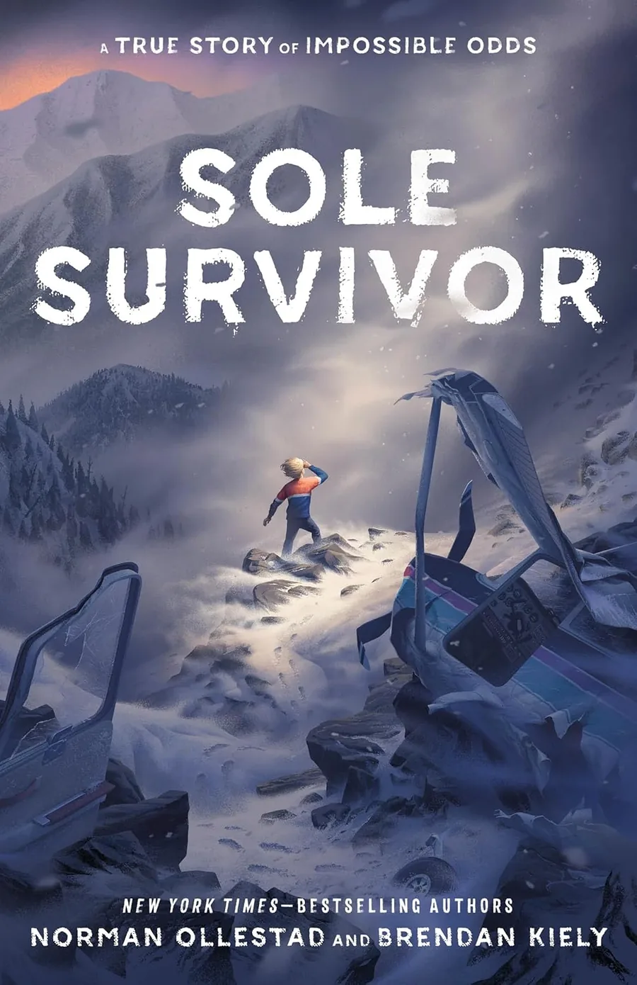 Cover of Sole Survivor